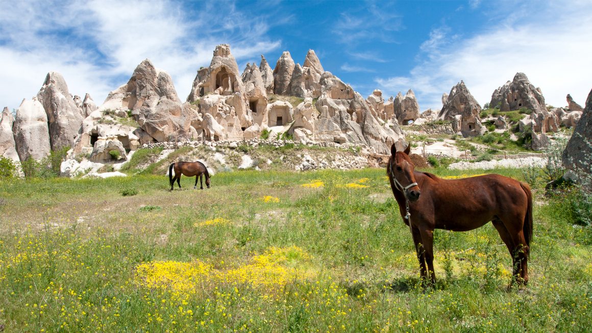 8 Days Tour from Istanbul 8 Days Tour from Istanbul