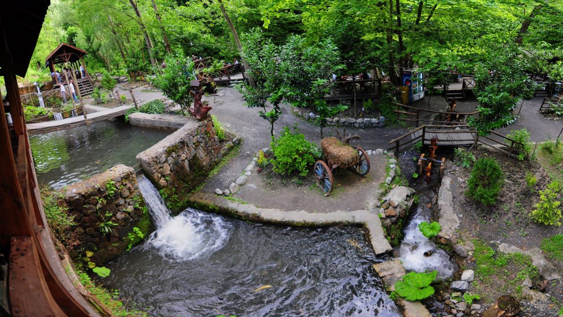 Maşukiye & Sapanca Tour Maşukiye & Sapanca Tour